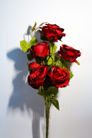 Bukiet róż w kolorze czerwonym